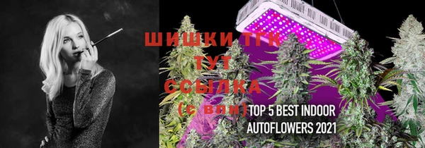 хмурый Михайлов