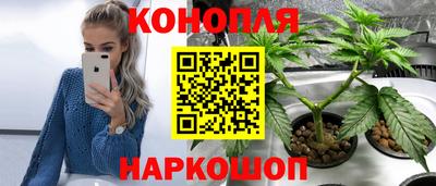 СК Жуковский