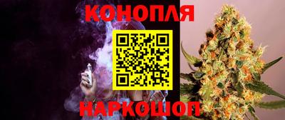 крисы Заводоуковск