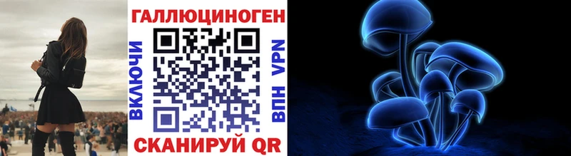 где купить наркоту Новоалександровск Псилоцибиновые грибы мухоморы
