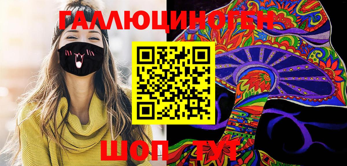 Галлюциногенные грибы мицелий  Новоалександровск 