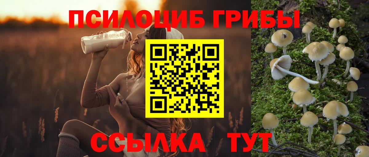 Новоалександровск  Псилоцибиновые грибы прущие грибы  Вход с VPN 